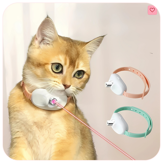 LazerPaws Collar