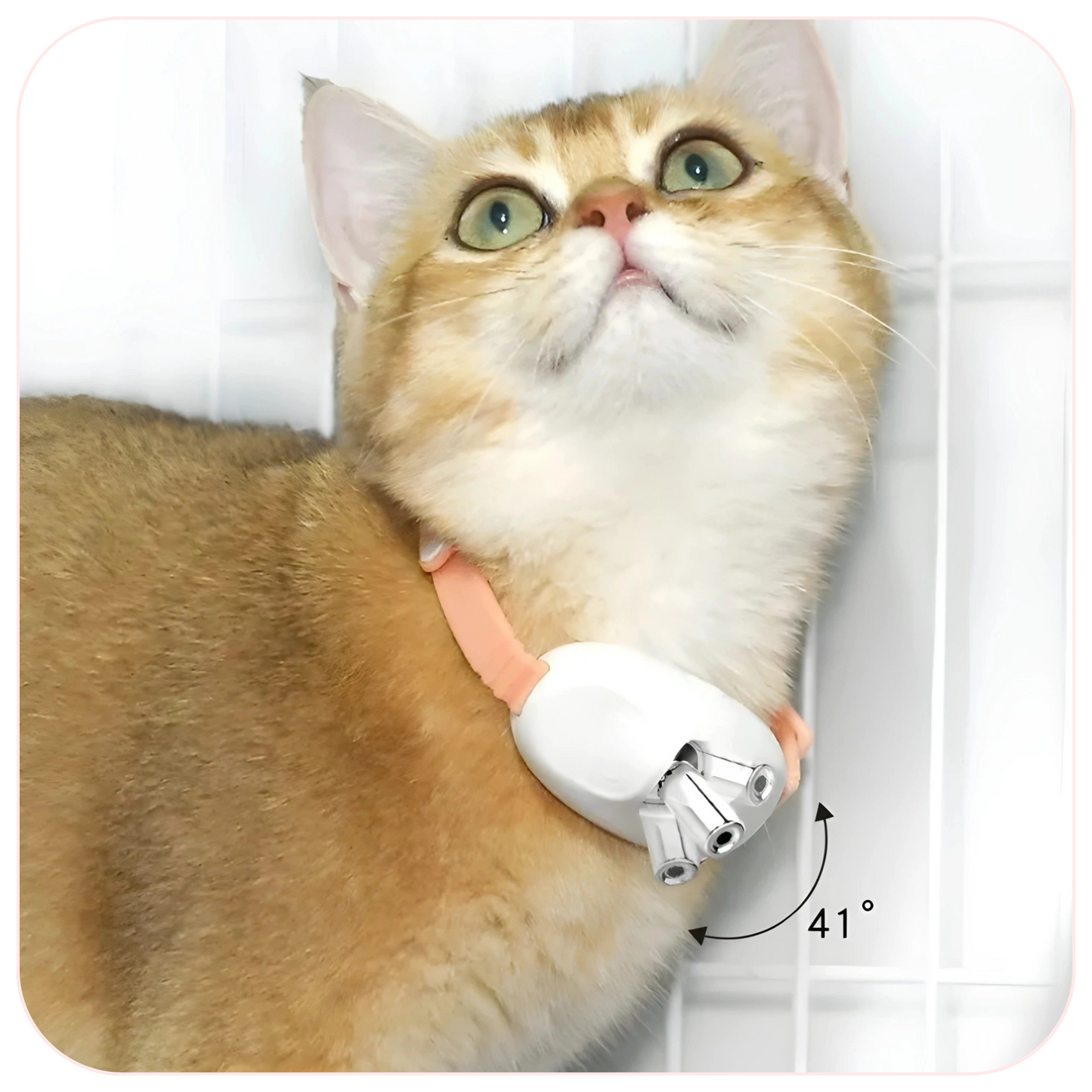 LazerPaws Collar
