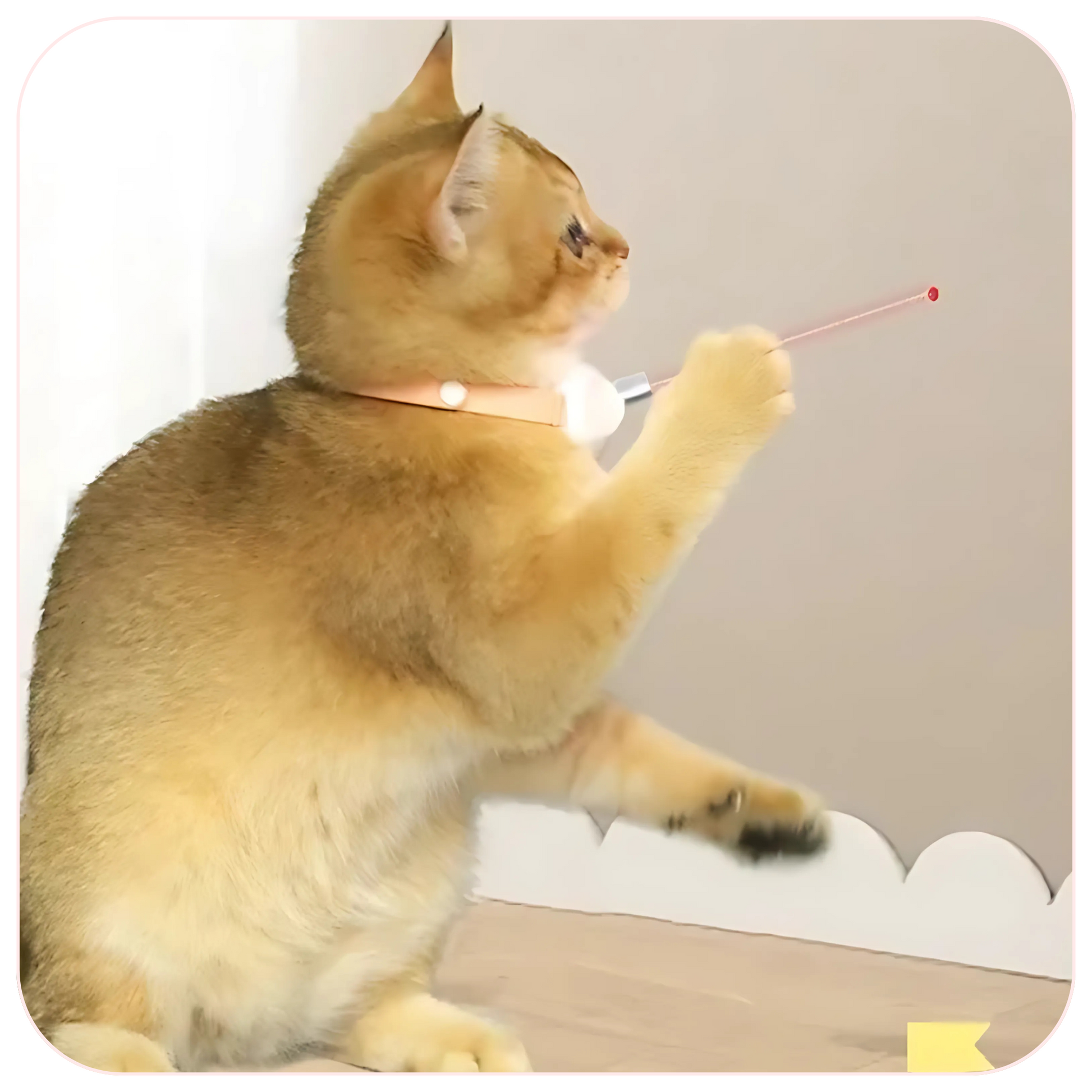 LazerPaws Collar