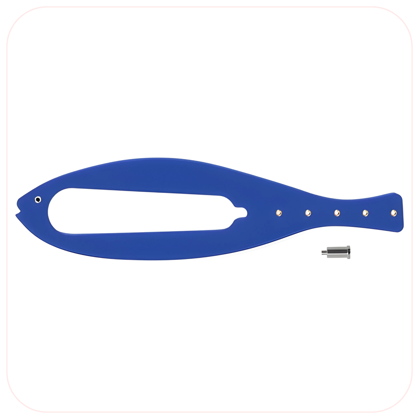 FlexLatch Fish Cat Door Holder