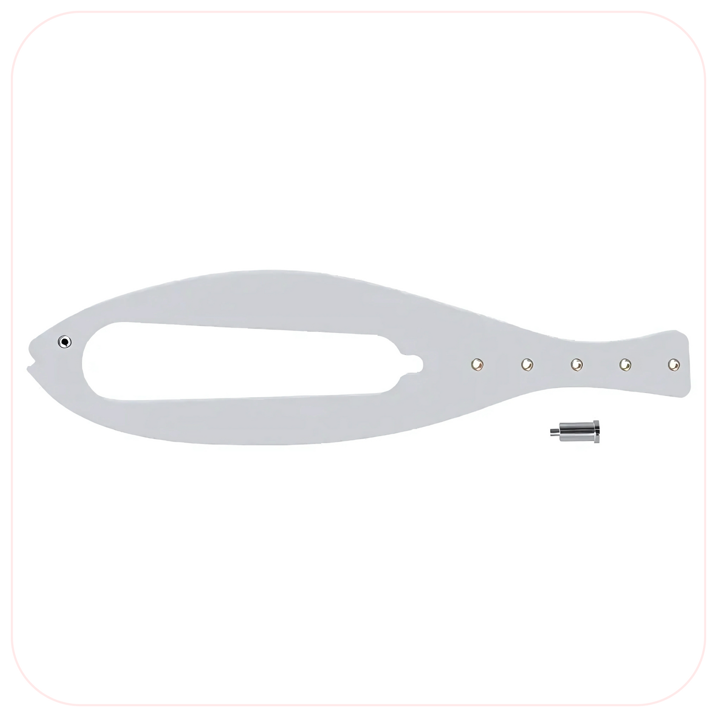 FlexLatch Fish Cat Door Holder