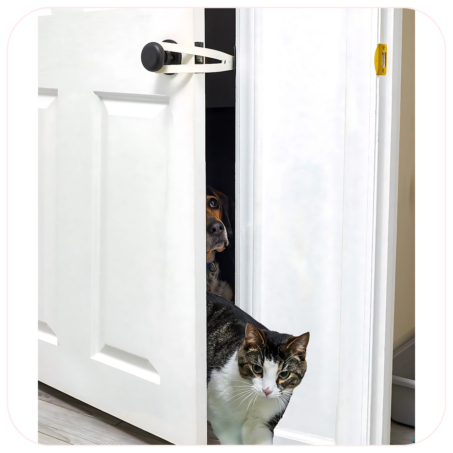FlexLatch Fish Cat Door Holder