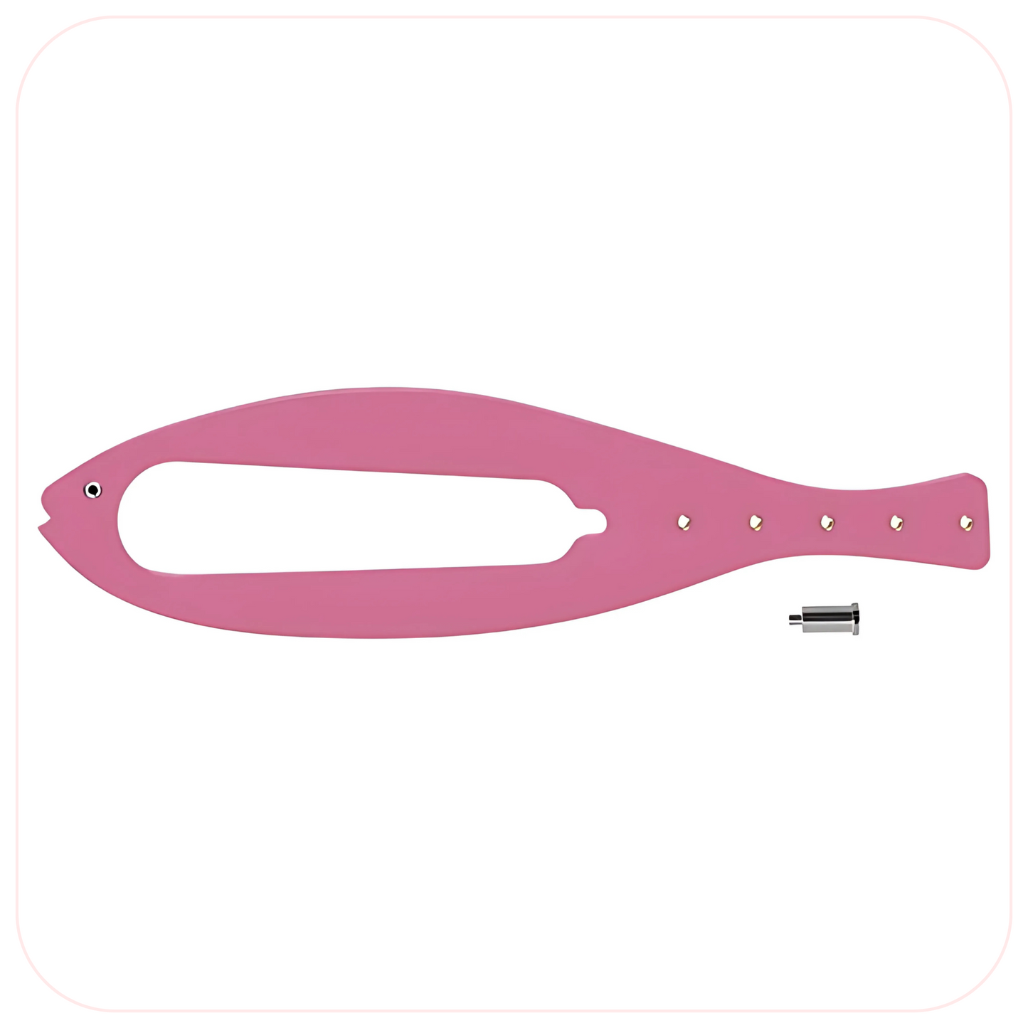 FlexLatch Fish Cat Door Holder