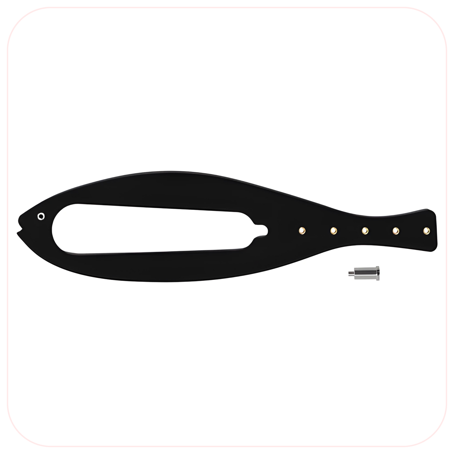 FlexLatch Fish Cat Door Holder