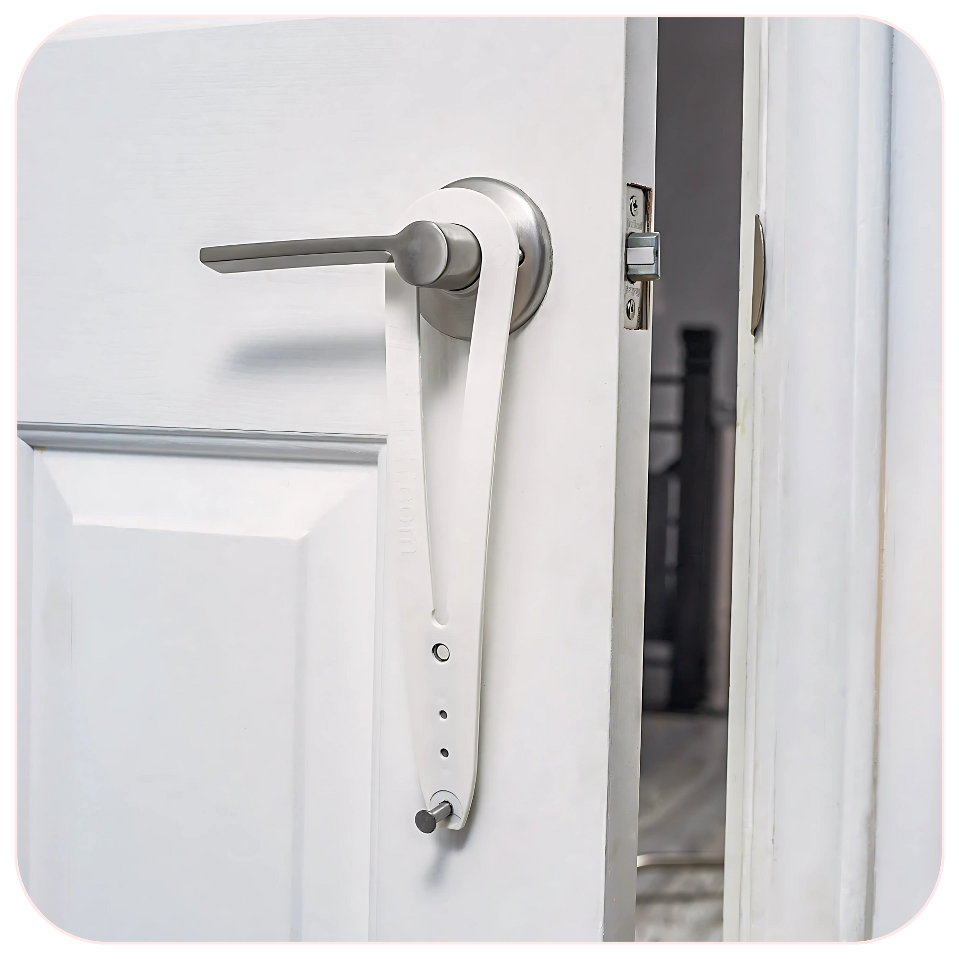 FlexLatch Fish Cat Door Holder