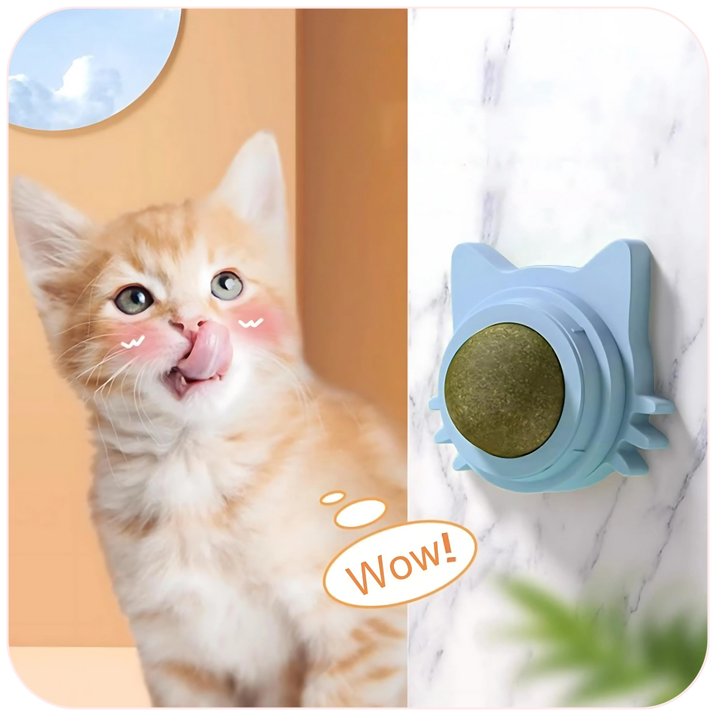 Catnip Wall Ball