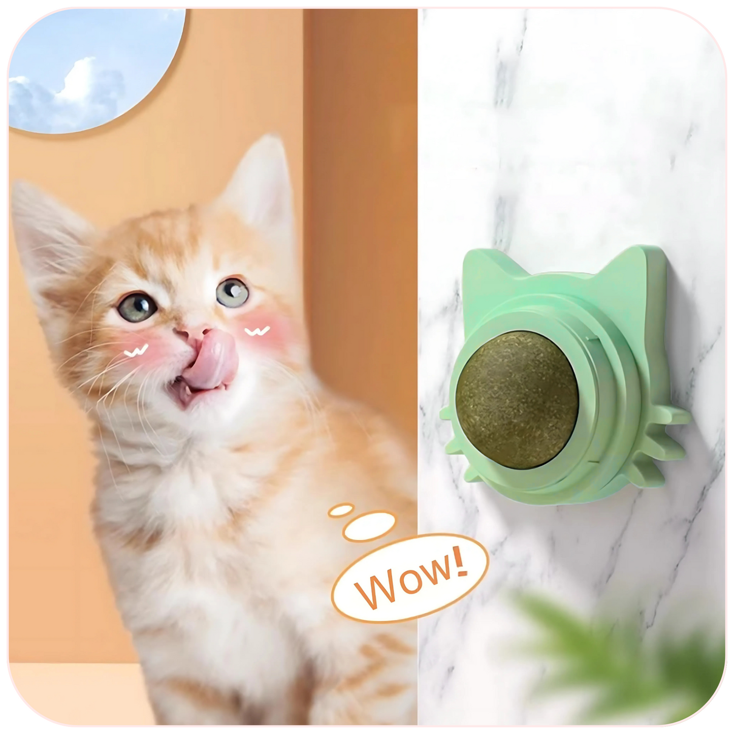 Catnip Wall Ball