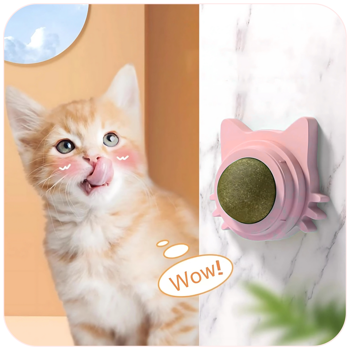 Catnip Wall Ball