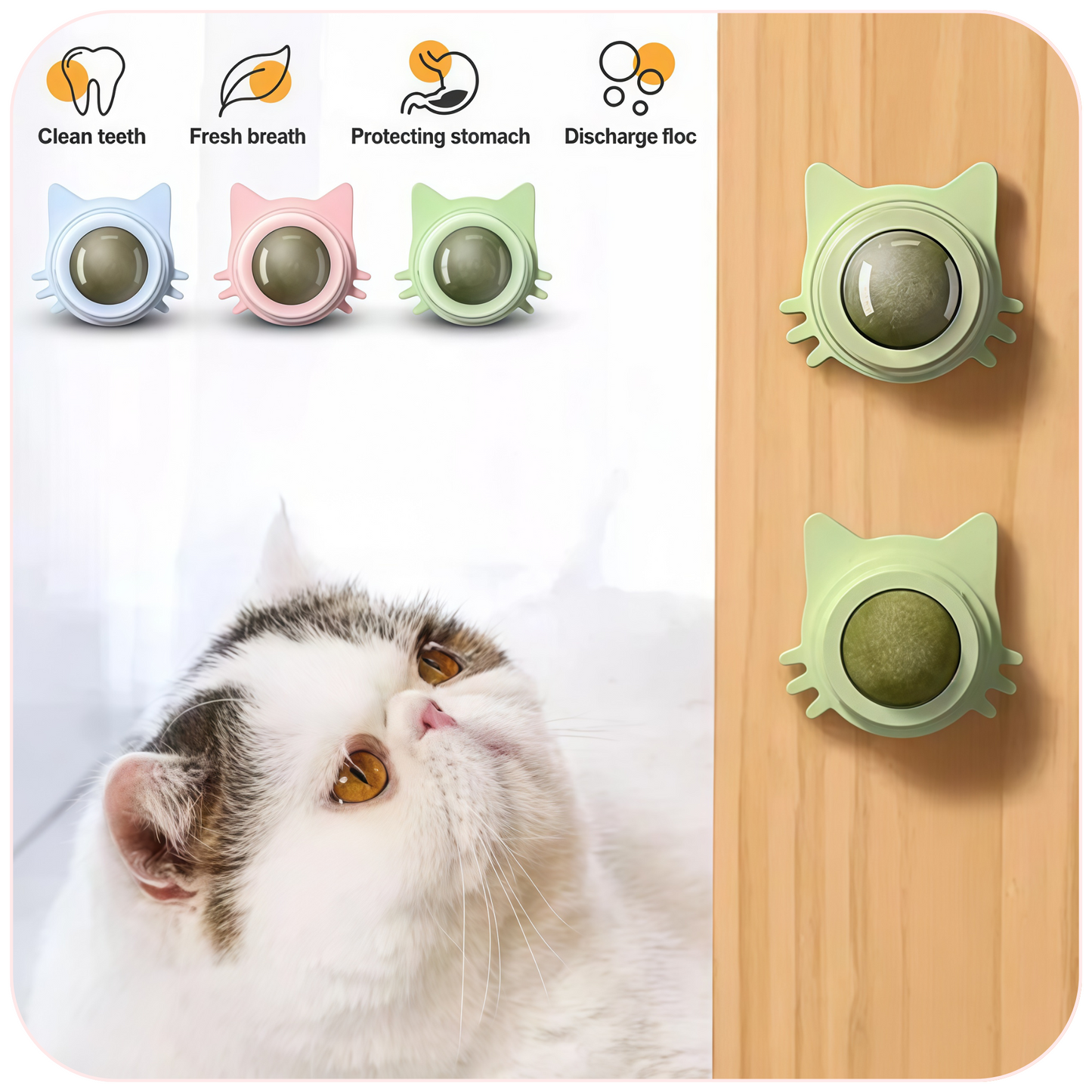 Catnip Wall Ball