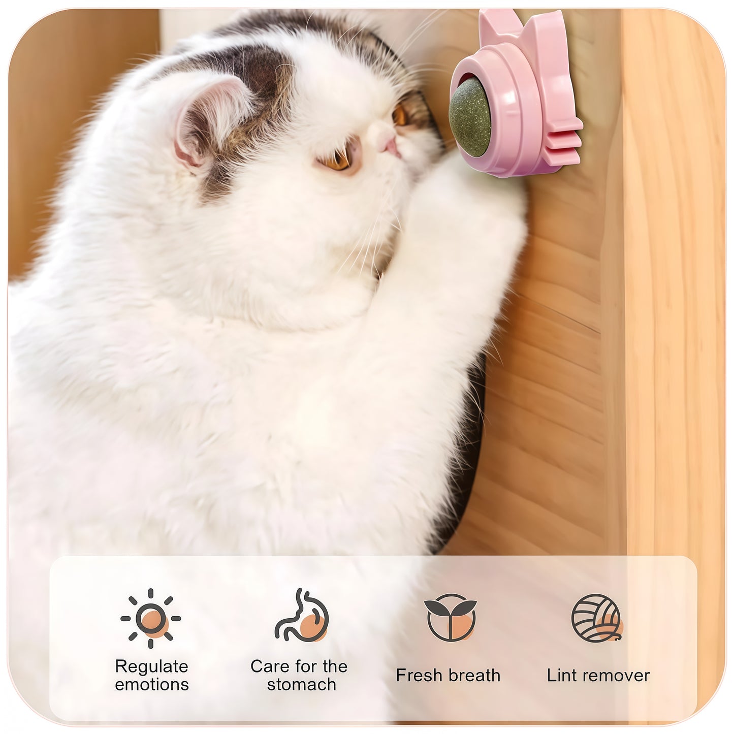 Catnip Wall Ball