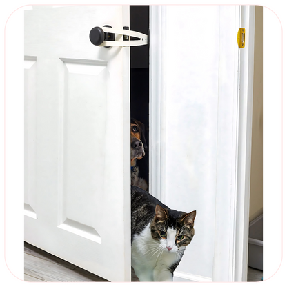 FlexLatch Fish Cat Door Holder