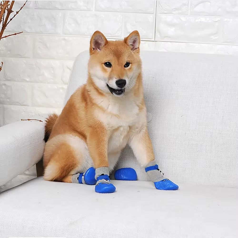 CozyPaws Set
