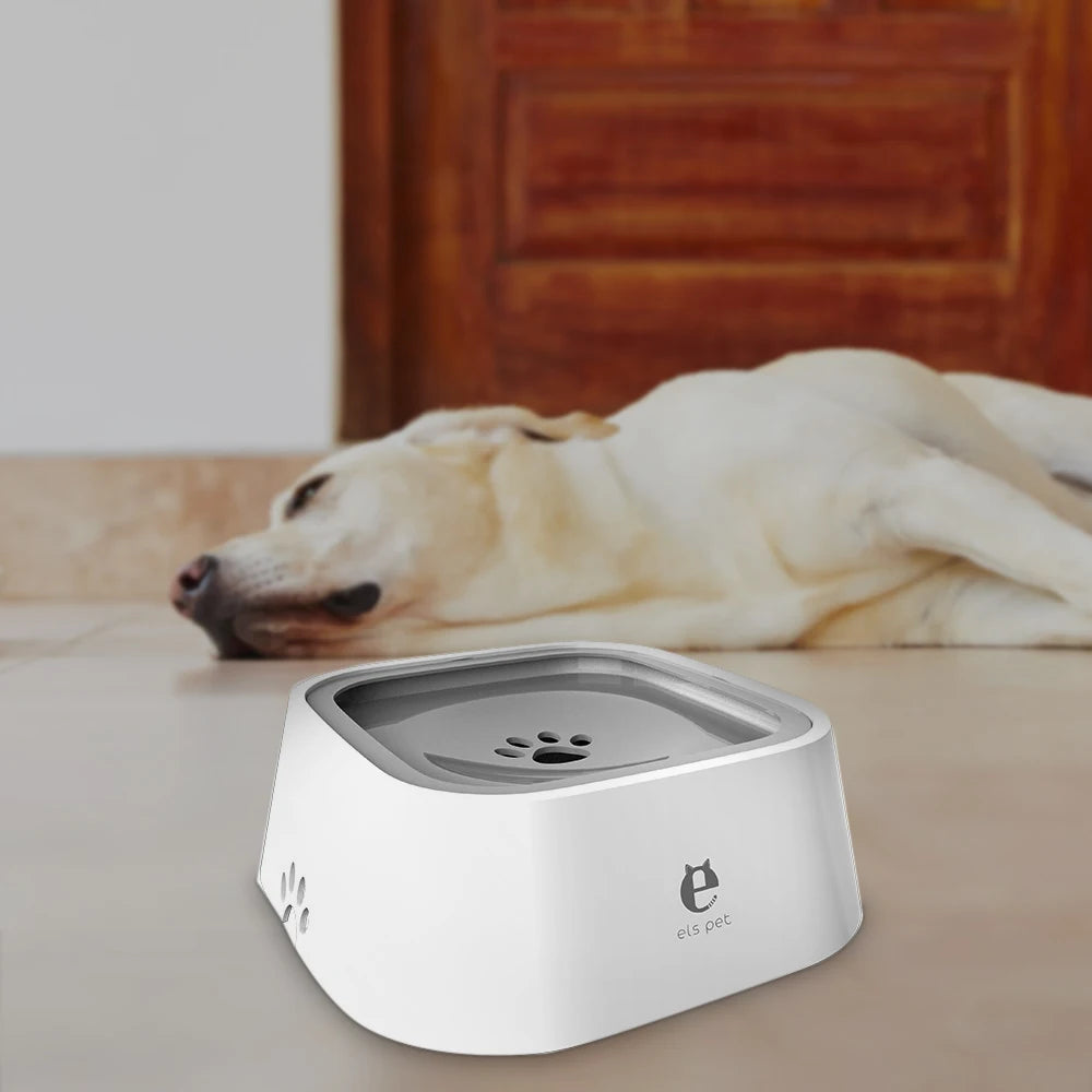 AquaPaws Bowl