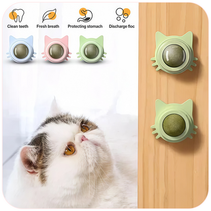 Catnip Wall Ball