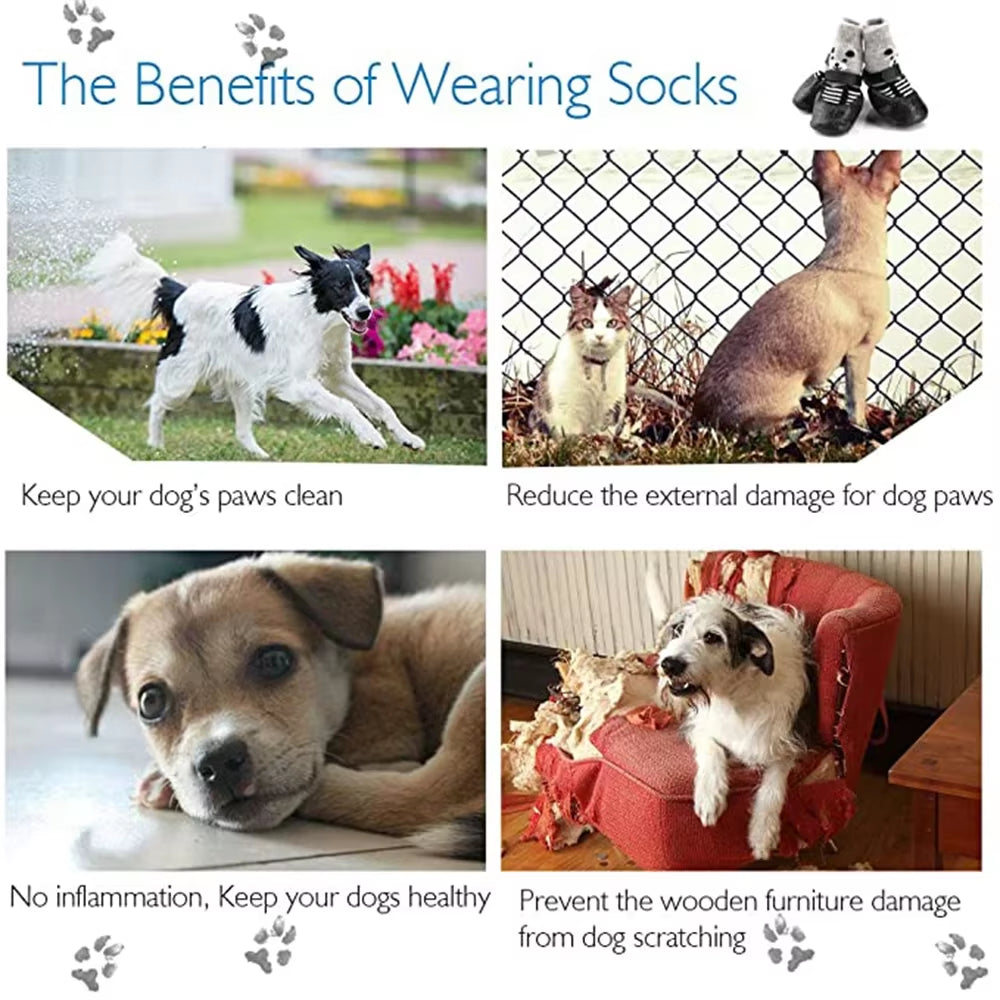 CozyPaws Set