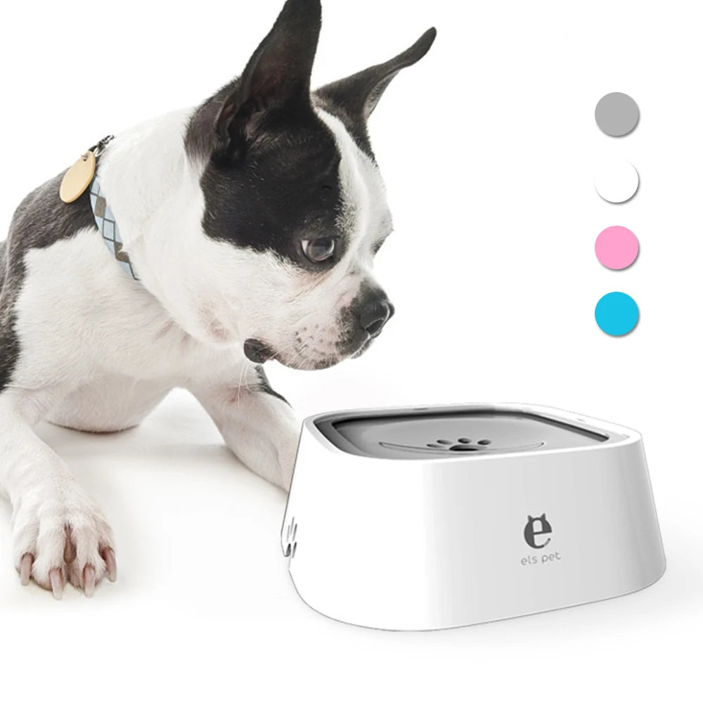 AquaPaws Bowl
