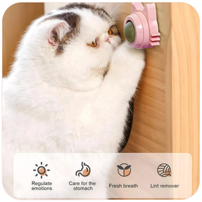 Catnip Wall Ball