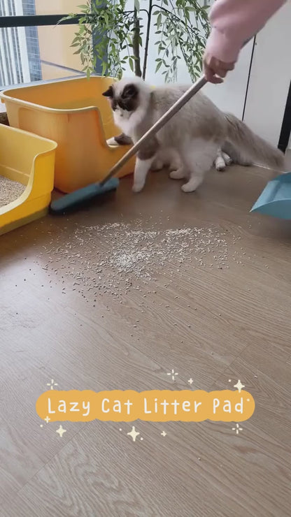 Litter Mat