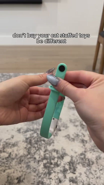 Cat Collar Laser Toy