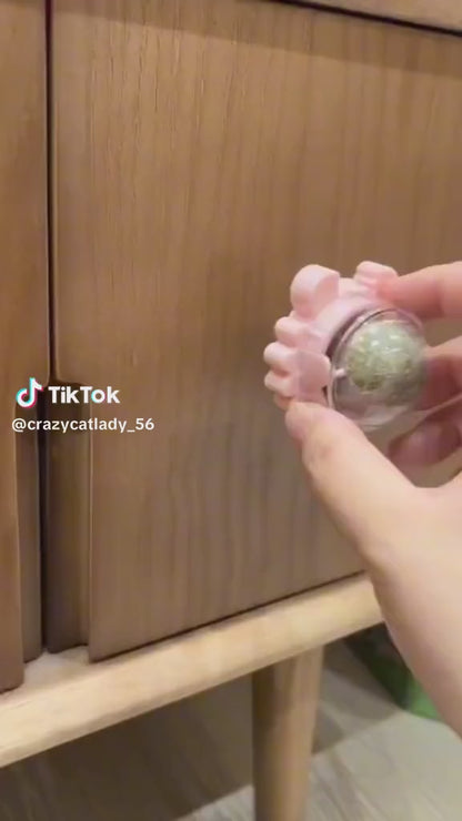 Catnip Wall Ball